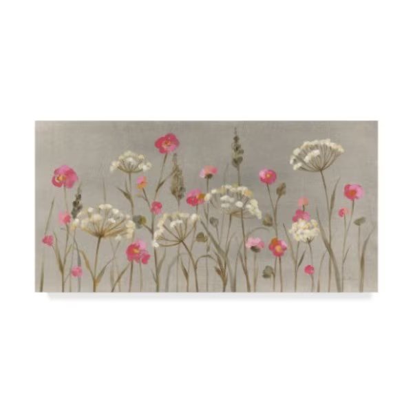 Silvia Vassileva 'Delicate Garden' Canvas Art, 16x32, Trademark Fine Art, Mfr#: WAP04504-C1632GG